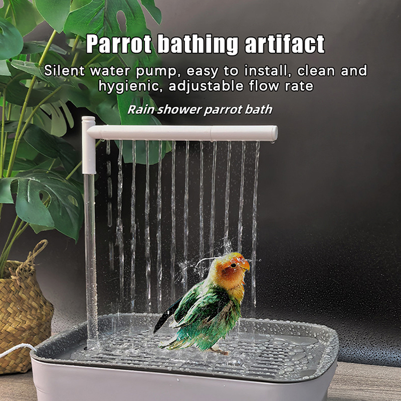 New Sale 2026 Automatic Parrot - Home Bathroom Shower avis et prix