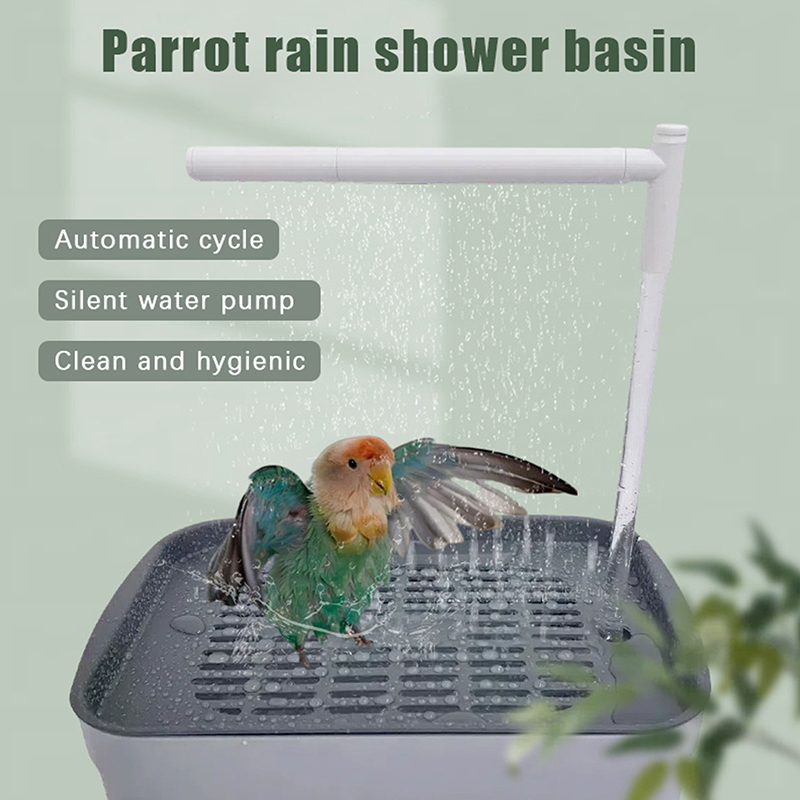 New Sale 2026 Automatic Parrot - Home Bathroom Shower avis et prix